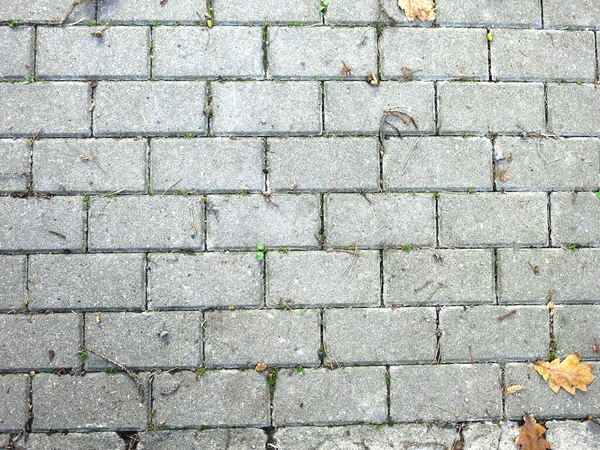 Grijze Rechthoekige Tegels Bestrating Stenen Met Herfst Bladeren — Stockfoto