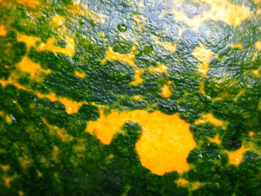 Arkaplan için yeşil-turuncu kabak derisi