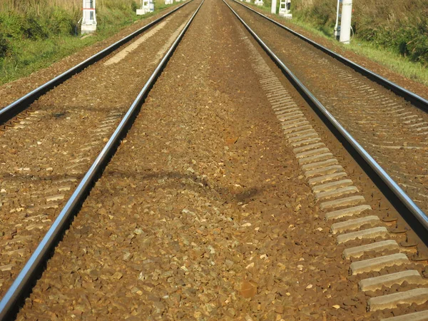 Skenor Solnedgången Ljus Vackert Fjärran Kvällen Moskva Regionen — Stockfoto