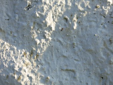 kabuk soyulmuş alçılı kaba beyaz doku