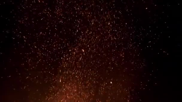 Іскри з вогню повільно піднімаються на чорному тлі нічого небо — стокове відео