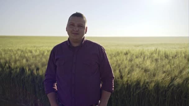 Conceived young farmer touching ripe golden wheat in field — Stock Video