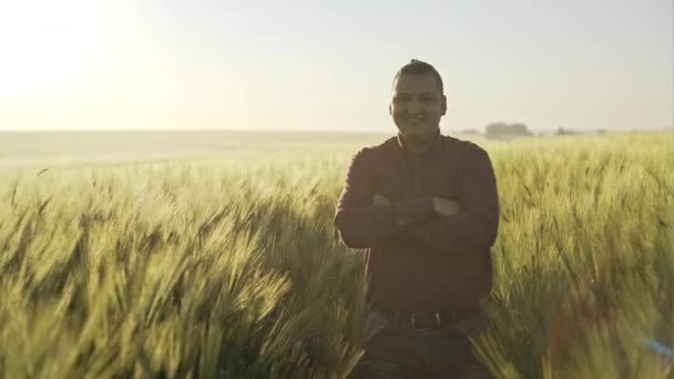 Счастливая фермерша на поле молодой пшеницы в тумане на рассвете . — стоковое видео