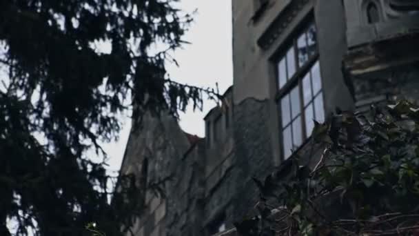 Пухнастий темний будинок замку Хеллоуїн з яскравим старовинним вікном — стокове відео