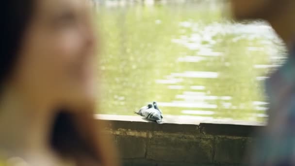 Fácil beso y abrazo de dos jóvenes en el parque contra el telón de fondo de un par de palomas. Grabación de vídeo RAW . — Vídeos de Stock