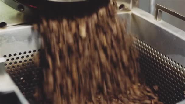 Pouring roasted coffee beans into container — Stock Video