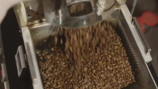 Nyrostade kaffebönor från ett kafferosteri som hälls i kyla cylindern. — Stockvideo