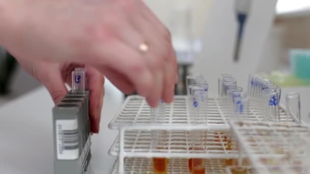 Vista lateral da colheita do hospital de clínica anônima com abundância de amostras à mesa no laboratório do hospital — Vídeo de Stock