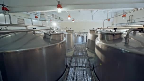 View of tops of shiny metal beer tanks in room of industrial brewery. — Stock Video