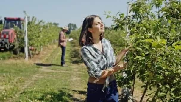 Жінка з доброзичливою посмішкою перевіряє фруктові дерева в саду, як трактор проїжджає через рядки позаду неї . — стокове відео
