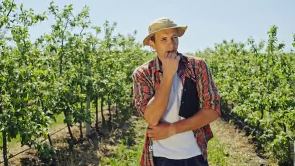 Hombre joven con camisa a cuadros y sombrero sujetando el portapapeles mientras mira pensativamente entre árboles verdes de tierras de cultivo — Vídeo de stock