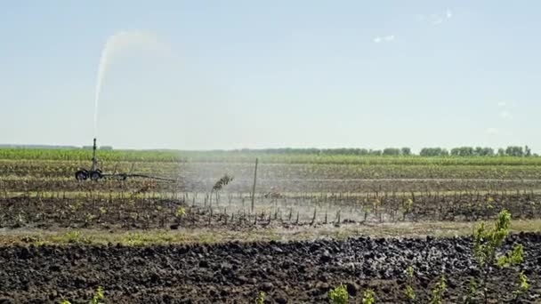 View of modern machine watering plants on field sprinkling water on background of blue sky — Stock Video