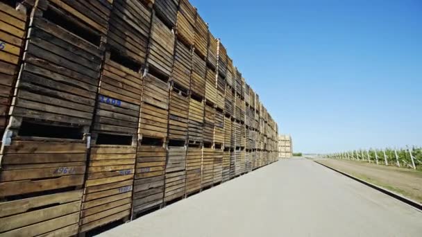 Перспективный вид контейнеров для хранения древесины с номерами на открытом воздухе возле сельской плантации — стоковое видео