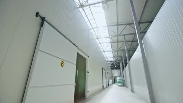 White long hall of modern plant building — Stock Video