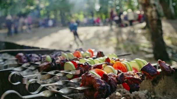 Grill og familie på camping i naturen – Stock-video