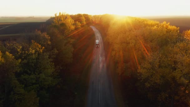 Jalan raya dengan lalu lintas melalui musim gugur hutan dengan warna kuning dedaunan saat matahari terbenam dengan sinar emas matahari di atas puncak pohon dalam pandangan udara dari drone — Stok Video