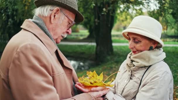 Couple aîné dans des vêtements élégants tenant des feuilles d'automne jaune coloré comme ils se tiennent main dans la main devant un étang dans un parc d'automne — Video