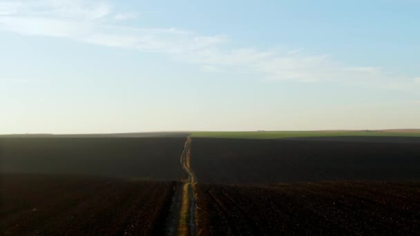 Lunga carreggiata in campo fertile vuoto — Video Stock