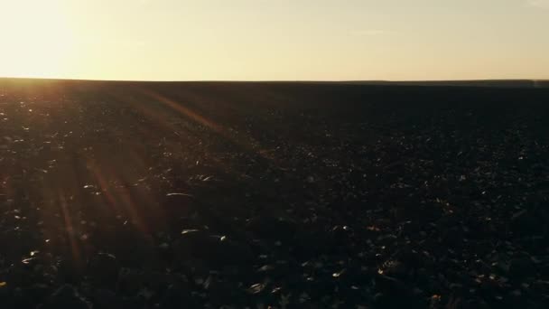 Vôo drone dramático ao longo do campo agrícola escuro pela manhã com baixa luz quente do sol . — Vídeo de Stock