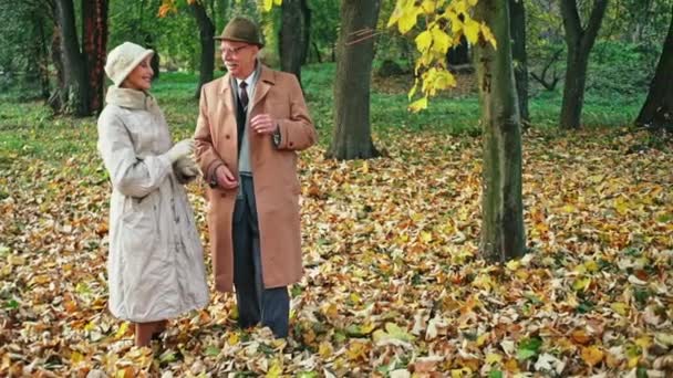 Hombre y mujer mayores en trajes elegantes bailando juntos sobre hojas secas en el hermoso parque de otoño - cámara lenta . — Vídeo de stock