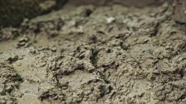 Närbild på spade gräva i wet, sloppy lera — Stockvideo