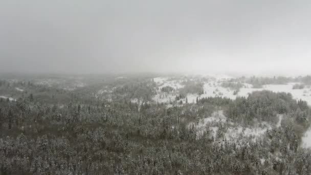 Volando sobre el bosque de coníferas de invierno en la nieve. Imágenes de drones volando sobre el paisaje del bosque de coníferas de invierno en la nieve, en un clima denso y nublado con el cielo gris — Vídeo de stock