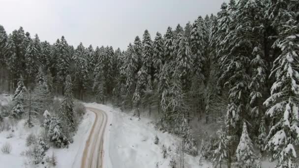 Vista aérea de carretera remota en bosques invernales — Vídeos de Stock