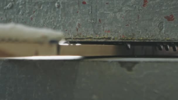 Gewas werknemer verwerking houten plank in machine - extreme close-up. — Stockvideo