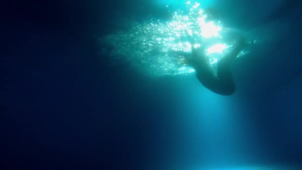 Woman jumping into a floodlit pool at night — Stock Footage Woman jumping into a floodlit pool at night Royalty Free Stock Footage