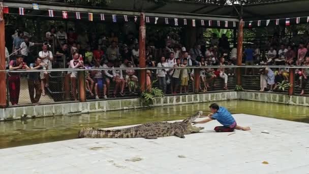 Таиланд, Ко Самуи - 7 июля 2018 года: Показать с крокодилом и мужчиной-обработчиком — стоковое видео