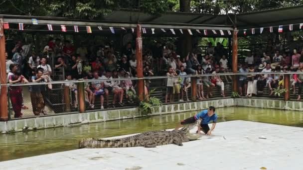 Man plaatst hoofd in mond van de krokodil toont truc — Stockvideo
