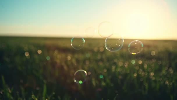 Grass, sun rays and bokeh.Soap bubbles on green grass. Vitality concept. Summer or spring scene. RAW video record. — Stock Video