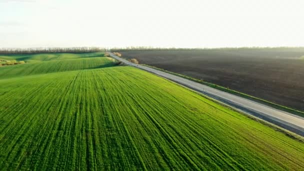 Malebný letecký pohled na zelené plodiny a silnici — Stock video