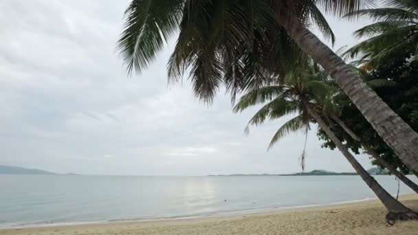 Vacker strand. Utsikt över fin tropisk strand med handflator runt. Semester och semester koncept. Tropisk strand. — Stockvideo