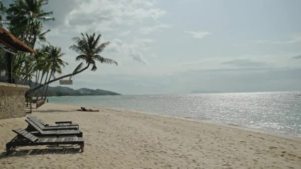 Koh Samui, Thailand-7 juli 2018: tropisch strand en kokospalmen — Stockvideo