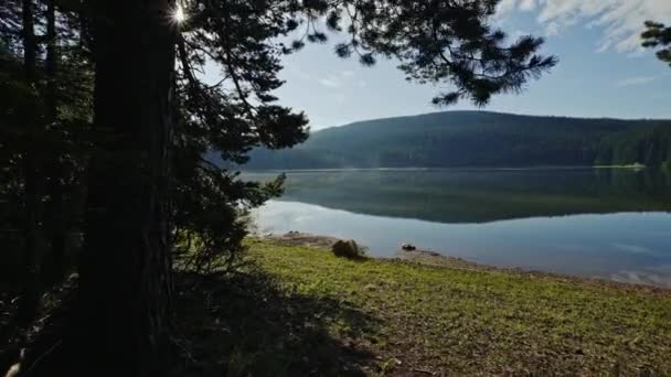 Spaziergang durch den Wald zu einem Seeufer - Mount Durmitor, schwarzer See — Stockvideo