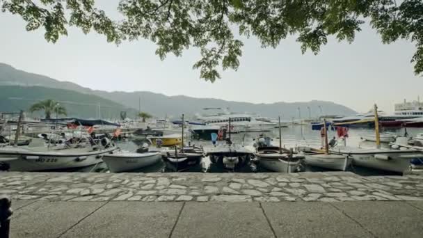 Aproximando-se de uma marina com barcos ancorados em Budva, Montenegro — Vídeo de Stock