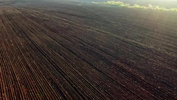 Bird eye camera jpging over brown plowed earth of agricultural field on sunny day in countryside - aerial view — Stock Video