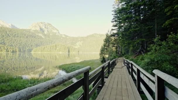 Spaziergang auf Holzbrücke am See — Stockvideo