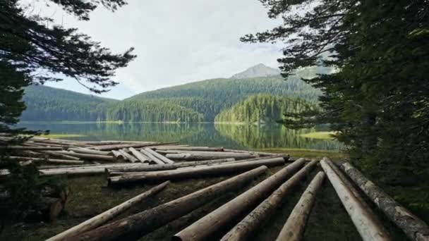 Kamera flyttar över stora trä stockar placeras på kusten av lugn fjällsjö nära skog i landsbygd-wandeelust Concept. — Stockvideo