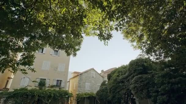 Maisons et arbres dans une ville calme — Video