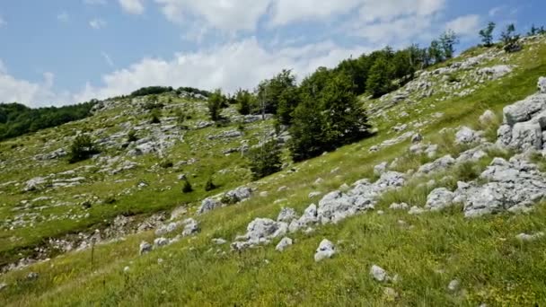 Stones on grassy hillside - Mount Durmitor, Montenegro — Stock Video