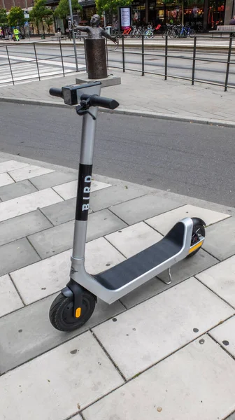 Vogel Elektrische Scooter Stedelijk Voertuig — Stockfoto