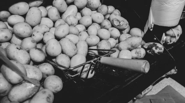 Bulk Potatoes Supermarket — Stock Photo, Image
