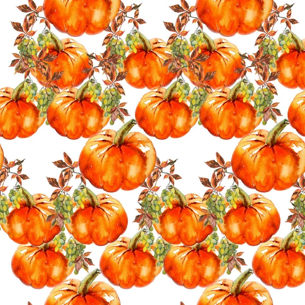 Citrouilles Vin Automne — Photo