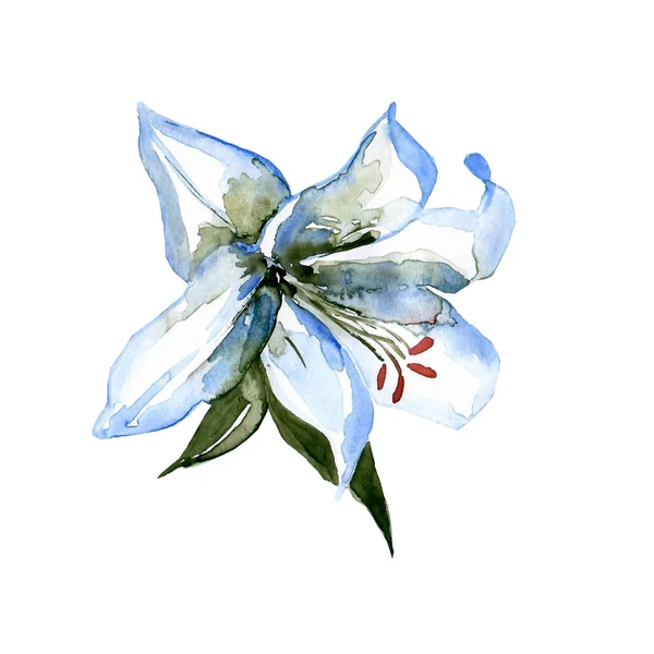 Aquarelle Lily Peinte Main Abstraite Image En Vente