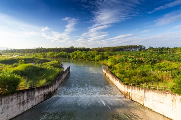 Stramazzo e giacinto d'acqua, Thailandia — Foto Stock