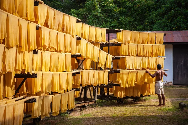 Exportní Odvětví Thajského Kaučuku Kaučuk Výroba Kaučuku Vaření Dřeva Solární Stock Snímky