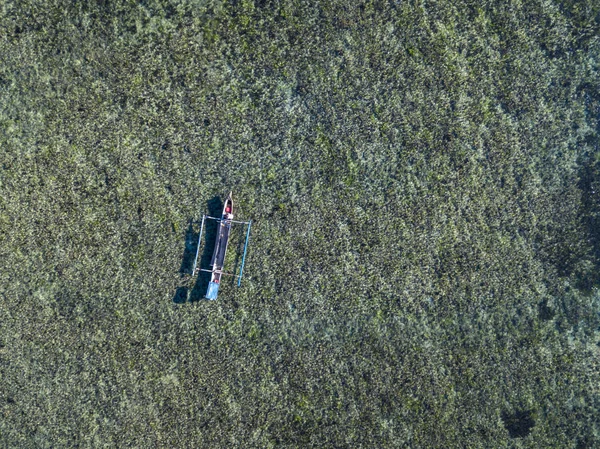 Aerial view of boat