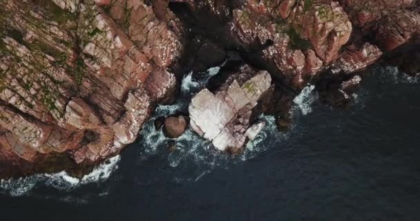 Rebanho de gaivotas, Vista aérea da costa do Mar de Barents — Vídeo de Stock